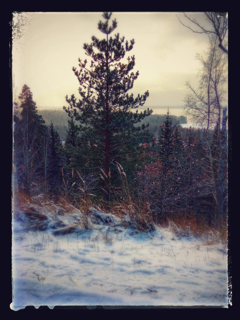 Tälle kuvalle ei ole vaihtoehtoista kuvatekstiä. Tiedoston nimi on image-scaled.jpg